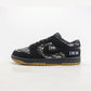 Nike SB Dunk Low X Dior