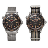 Omega Seamaster Diver 300M With Extra NATO Strap